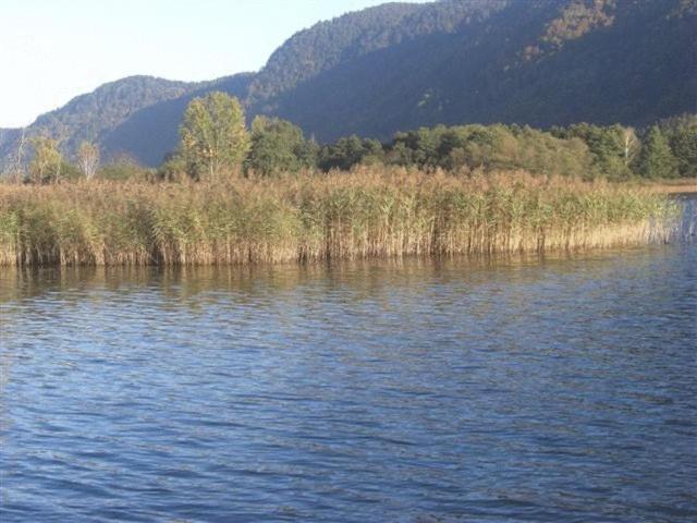 Gasthof Laggner Щайндорф ам Осиахер Зее Екстериор снимка